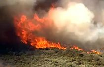 Tüzek Arizonában és Utah-ban
