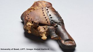 La prothèse de pied la plus vieille du monde?