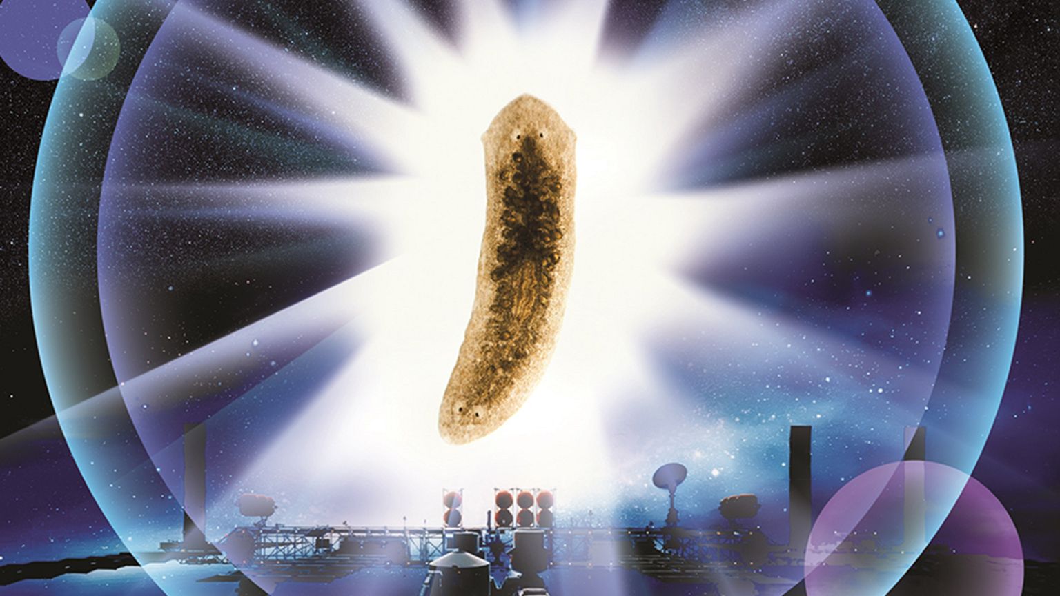 A worm went to space and came back with two heads. Why?