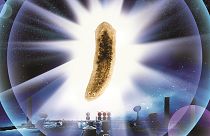 A worm went to space and came back with two heads. Why?