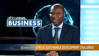 Afrique: les enjeux du developpement durable