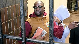 Zimbabwe : l'opposant Mawarire libéré sous caution
