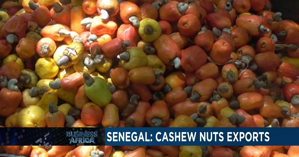 cashew nuts exporters