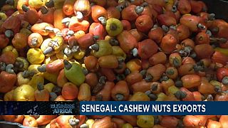 Senegal: Cashew nut exporters suspend transactions due to price hikes[Business Africa]