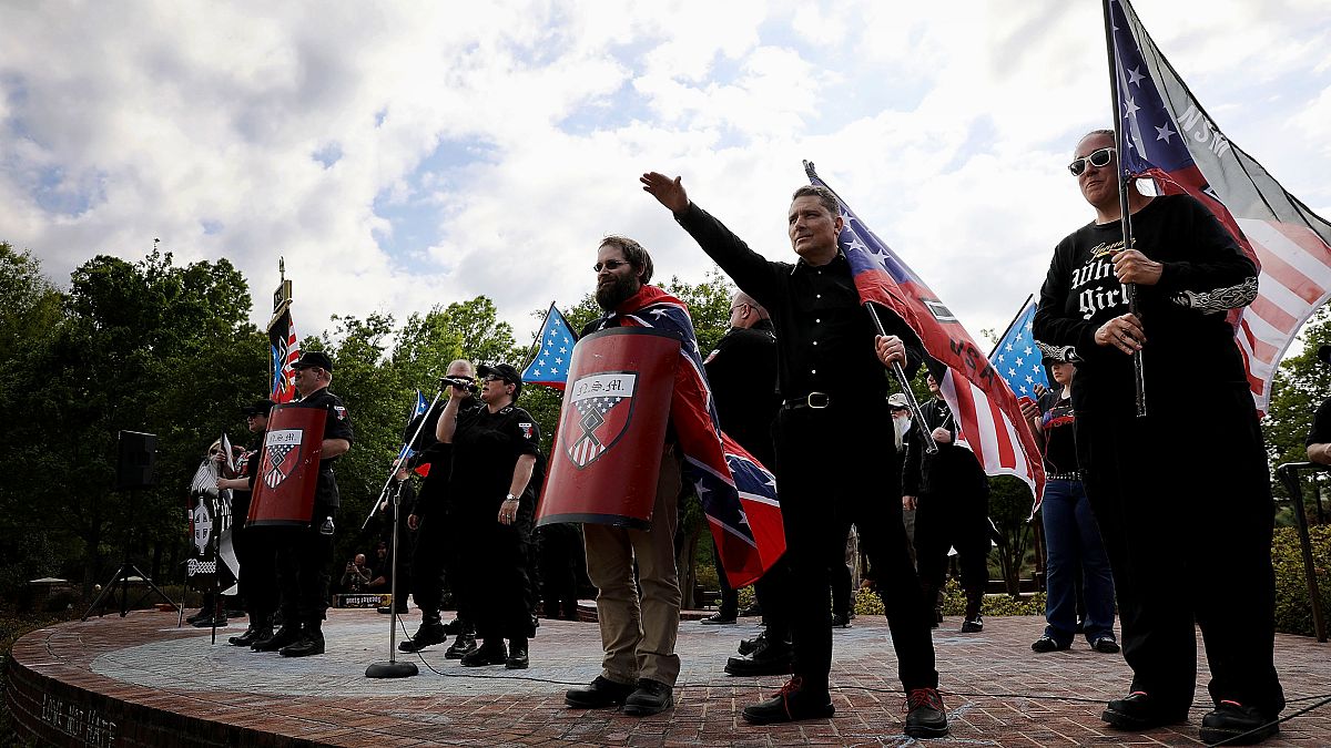 Image: Members of the National Socialist Movement hold a rally in Newnan, G