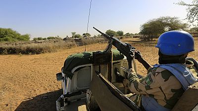 UN approves cut on troops in Sudan's Darfur