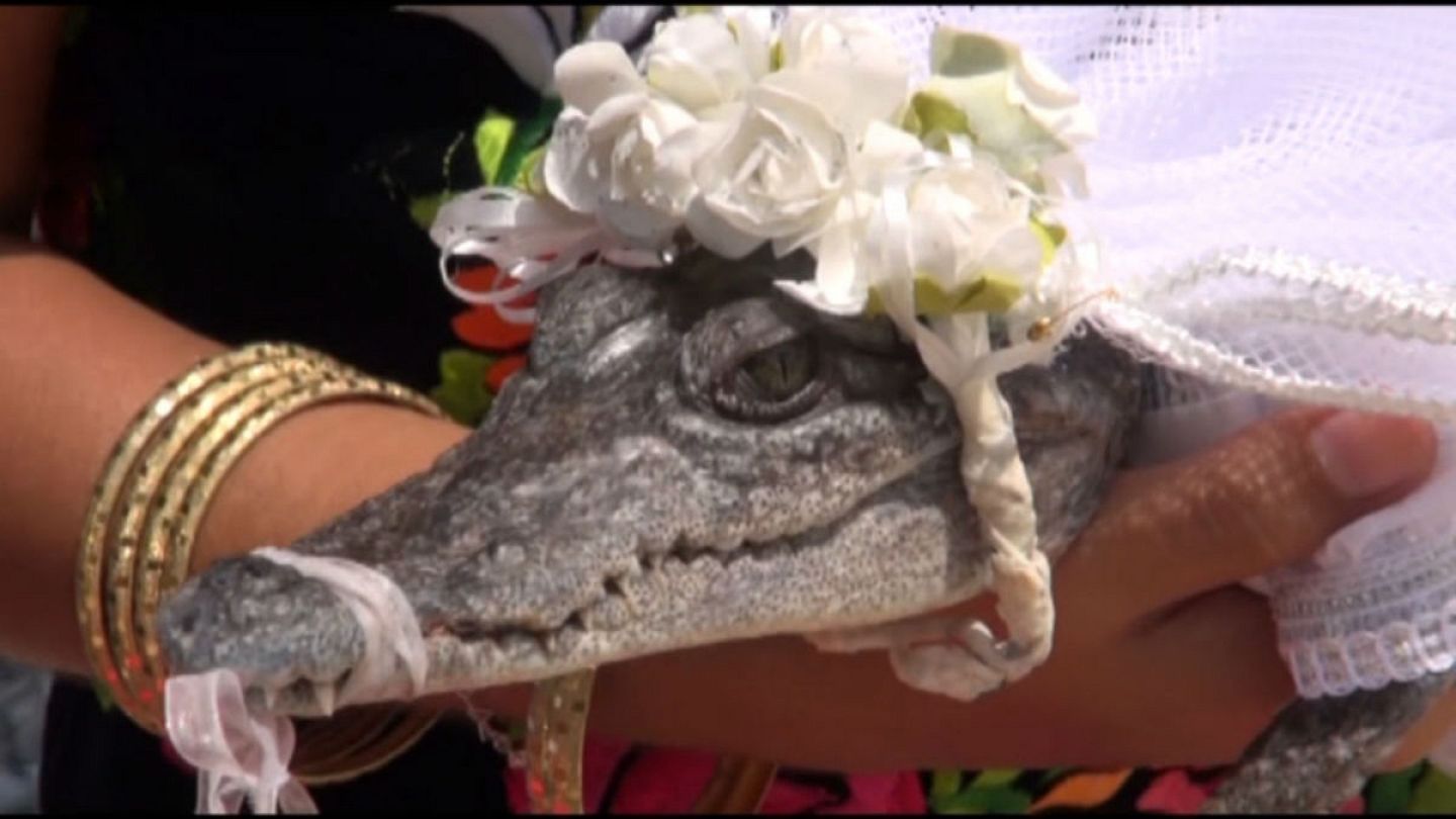 Mayor of Mexican fishing town 'marries' crocodile bride | Euronews