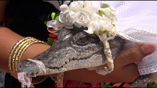 Mayor of Mexican fishing town 'marries' crocodile bride