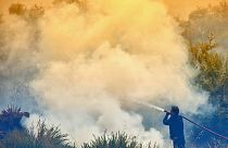 Εκτός ελέγχου μεγάλη πυρκαγιά στην ανατολική Μάνη