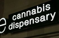 Nevada: Marihuana zum Freizeitgebrauch