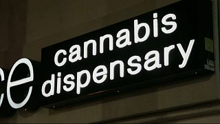 Nevada: Marihuana zum Freizeitgebrauch