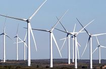 Rekordot ért el Németország megújuló energiahasználatban