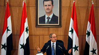 فيصل مقداد يؤكد أن سوريا لم تعد تمتلك برنامجا للسلاح الكيميائي