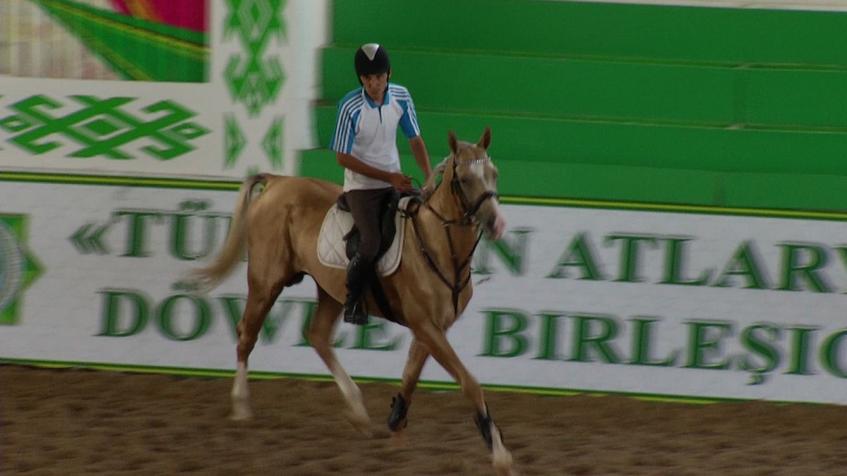 L'Akhal-Teke, il "cavallo celeste" di Ashgabat