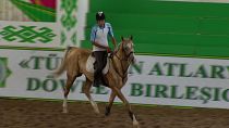 اسب «آخال تکه» نماد ملی ترکمنستان