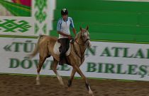 اسب «آخال تکه» نماد ملی ترکمنستان