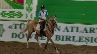 Turkmenistan's Akhal-Teke: the world's oldest horse