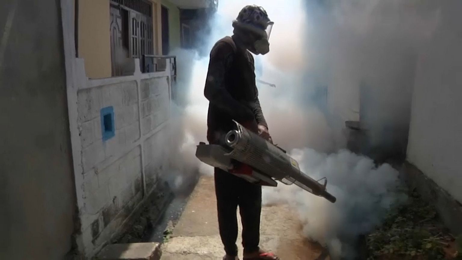 En guerre contre la dengue