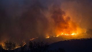 الحرائق تلتهم 253 هكتارا في غابات طنجة