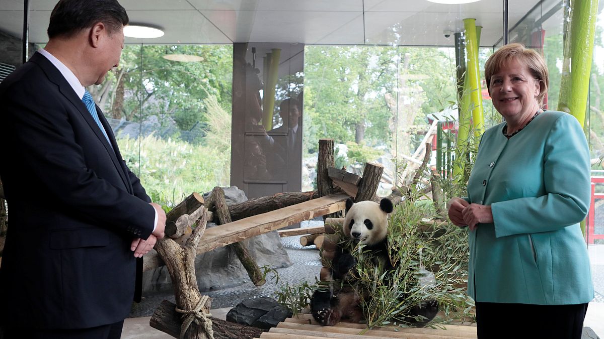Paws for thought: Merkel and Xi visit Berlin Zoo