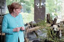 Forging stronger ties: Chinese and German leaders meet ahead of G20