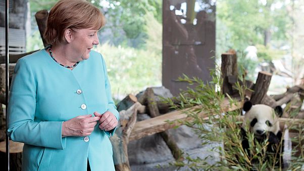 Merkel und Xi Jinping wollen engere Zusammenarbeit Merkel und Xi Jinping wollen engere Zusammenarbeit