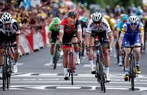 Tour de France: 'I didn't do anything wrong,' says Peter Sagan