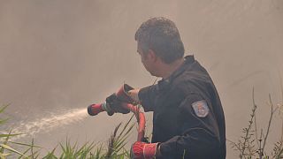 Συναγερμός από πυρκαγιά στο Κρυονέρι Αττικής