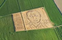 Putyin arca mosolyog az olasz búzamezőről