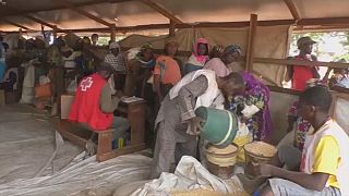 Cameroun : le PAM met la finance mobile au service des réfugiés centrafricains