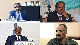 Ethiopia worried that Gulf crisis could destabilize Horn of Africa region