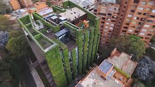Schlechte Luft: Vertikaler Garten erfrischt Bogotá