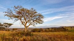 Image: The Crater Area inside Queen Elizabeth National Park in Uganda in 20