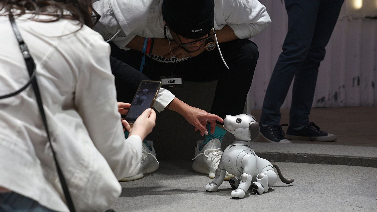Image: Attendees and workers play with Aibo at the South by Southwest (SXSW