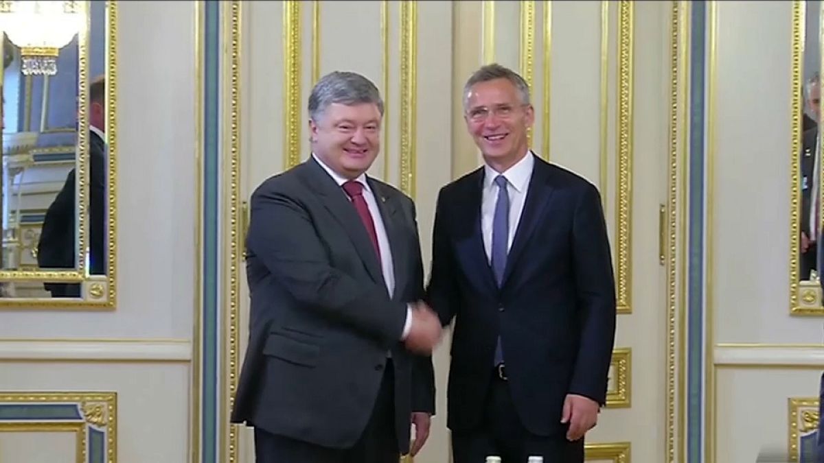 Ukraine pushes ahead with NATO membership moves