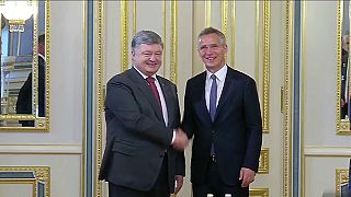 Ukraine pushes ahead with NATO membership moves