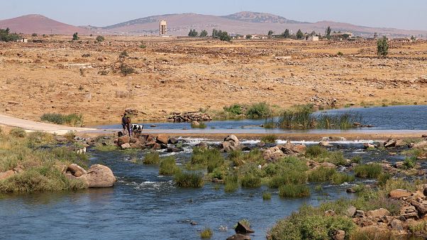 القوات السورية تطلق هجوما جنوب سوريا رغم اتفاق وقف إطلاق النار القوات السورية تطلق هجوما جنوب سوريا رغم اتفاق وقف إطلاق النار