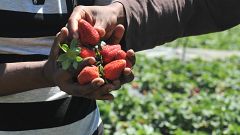 Υπουργική ανάκληση μετά το επίσημο αίτημα επανεξέτασης για τη Μανωλάδα