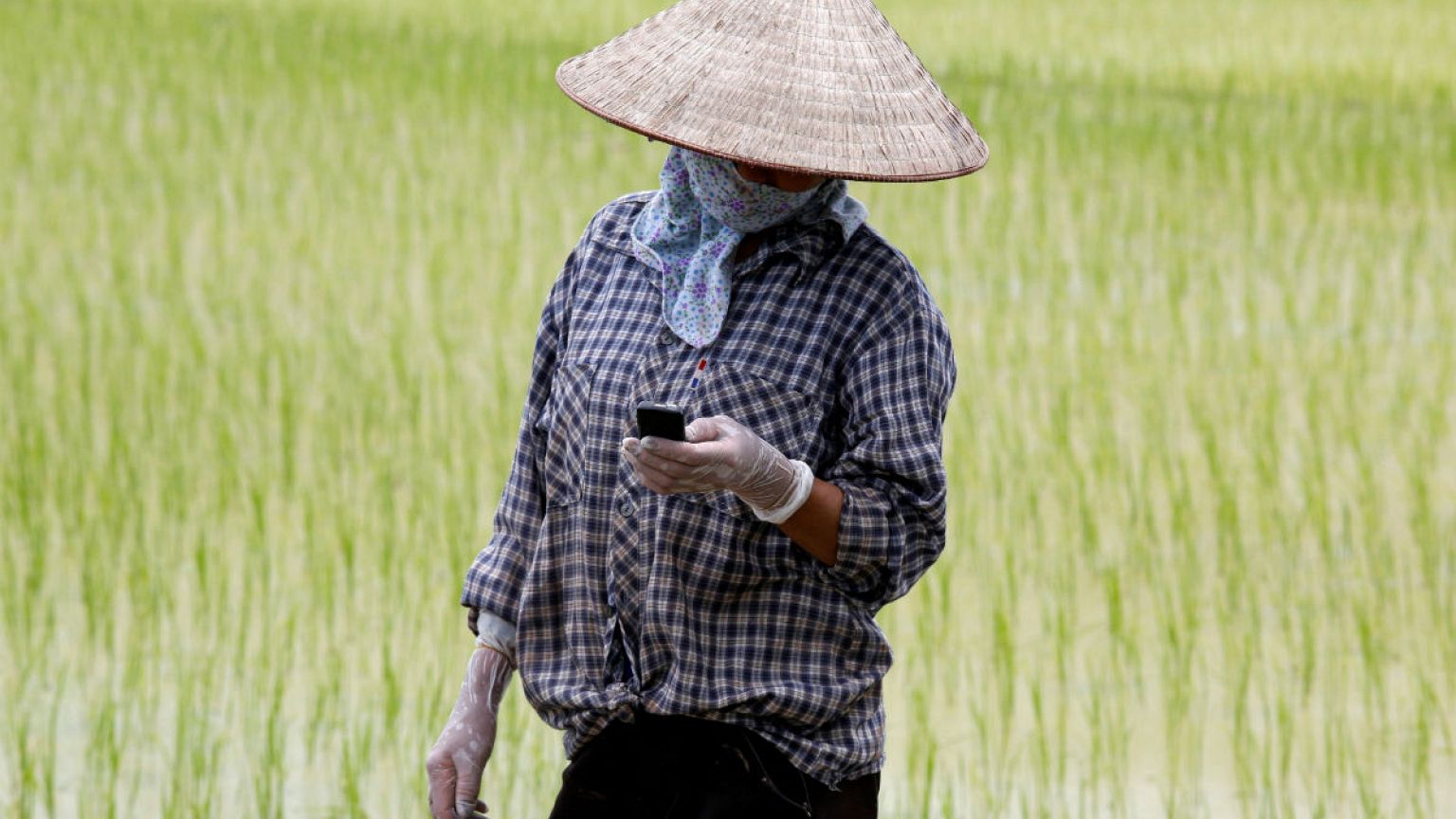 View: Asian future farms