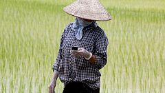 View: Asian future farms