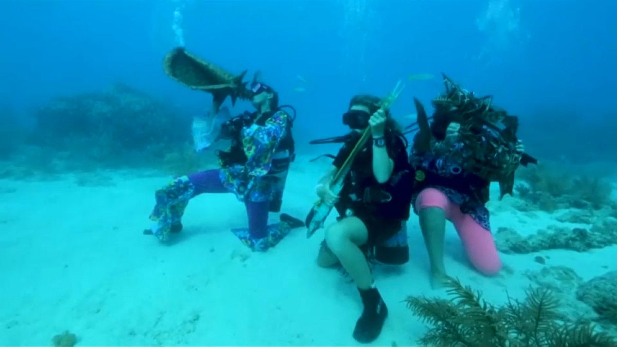 Florida underwater festival aims to promote reef preservation