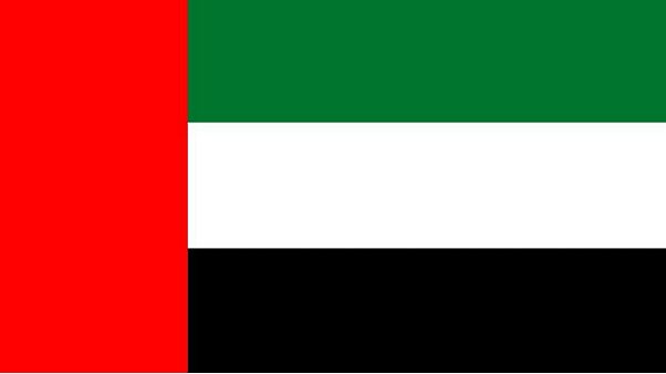 وفاة لاعب إماراتي من ذوي الاحتياجات الخاصة خلال التدريبات وفاة لاعب إماراتي من ذوي الاحتياجات الخاصة خلال التدريبات