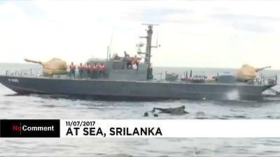 انقاذ فيل سيريلانكي من الغرق في عرض البحر