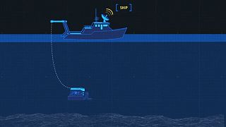 Takeaway: deep-sea robot for tomorrow