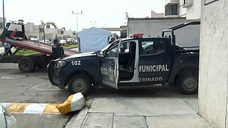 11 killed in a stabbing at a children's birthday party in Mexico