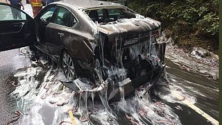 أوريغون: سمك الجريث تعطل الطريق السريع