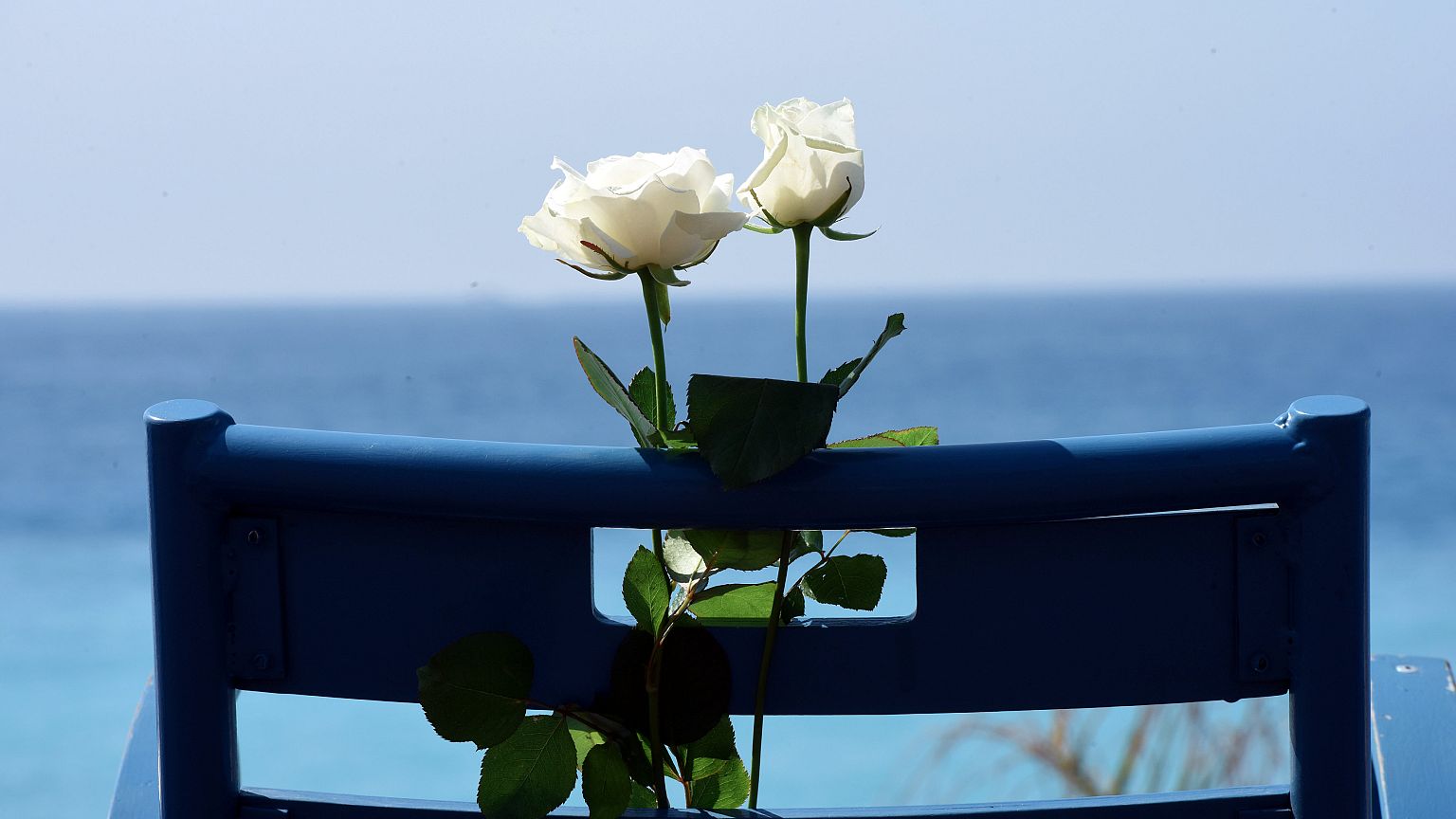 'The price of our freedom': Nice Bastille day attack remembered a year on