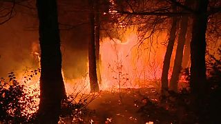 Emergenza incendi dai Balcani al Portogallo; fiamme a Capalbio