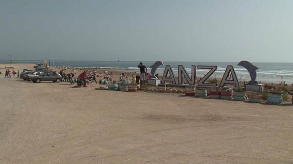 الديناصورات عاشت في المغرب منذ 85 مليون سنة الديناصورات عاشت في المغرب منذ 85 مليون سنة