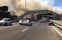 Waldbrände in Europa